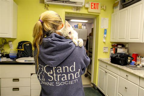 Grand strand humane society - In 2022, Grand Strand Humane Society…. Provided a safe haven for 1237 dogs, 679 cats and 7 bunnies & guinea pigs that had nowhere else to go…. Made 1,316 families complete by adopting a precious animal into their homes…. Reunited 59 animals with their distraught owners who were missing them dearly…. Spayed or neutered 1532 animals….